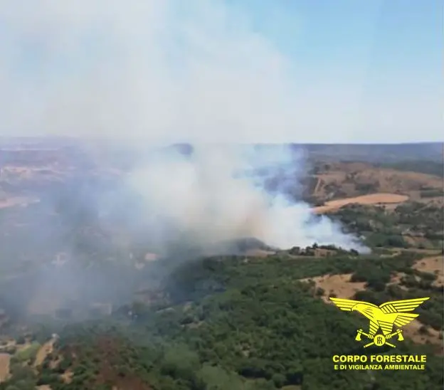 incendio ales sardegna