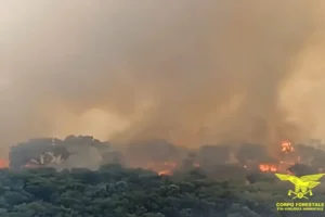 incendio ales sardegna