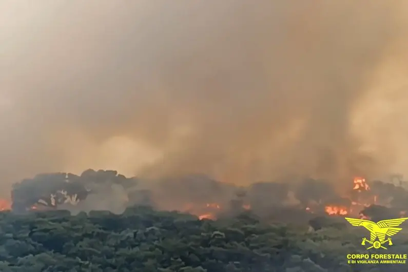incendio ales sardegna