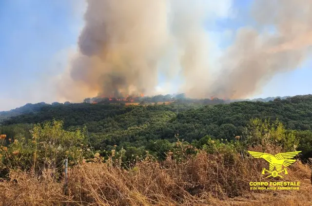 incendio ales sardegna