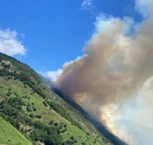 incendio ardeche francia