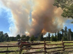 incendio canyon