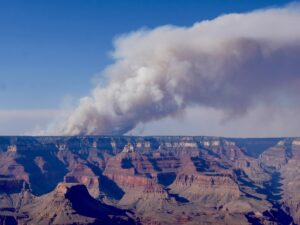 incendio canyon incendi parchi usa stati uniti