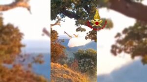 incendio cavorà calabria