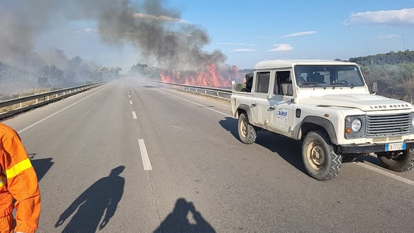incendio chieuti puglia