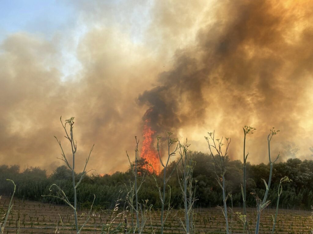 incendio cirò marina calabria