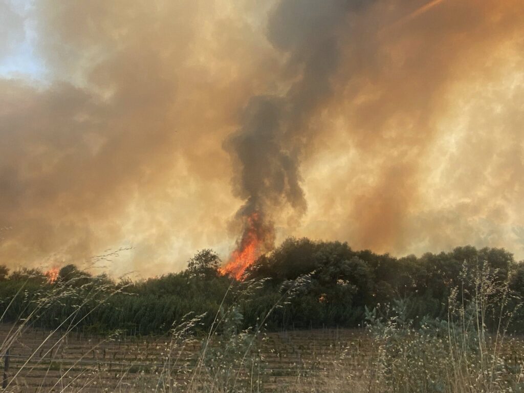 incendio cirò marina calabria