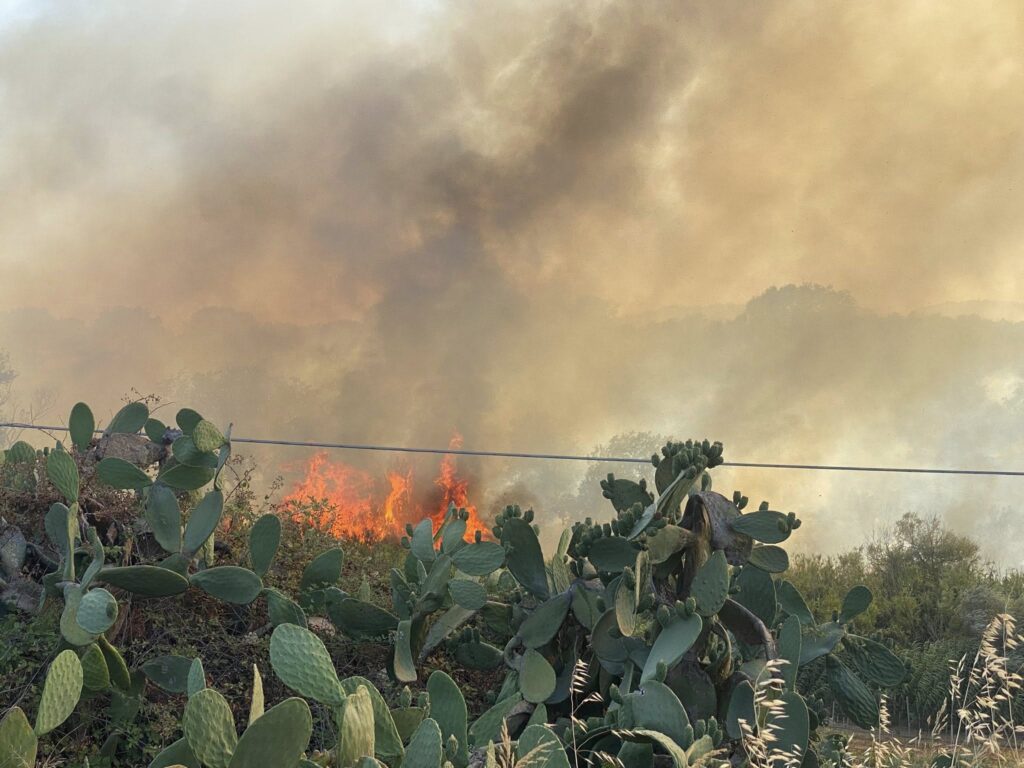 incendio cirò marina calabria