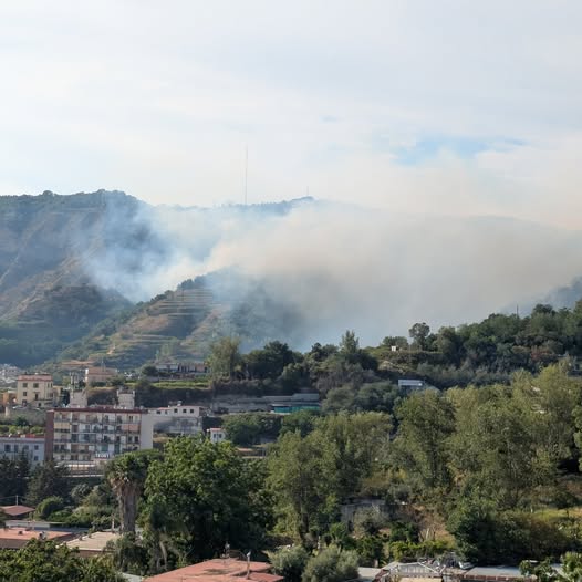 incendio collina camaldoli napoli