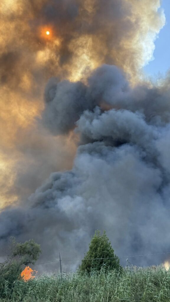 incendio manfredonia