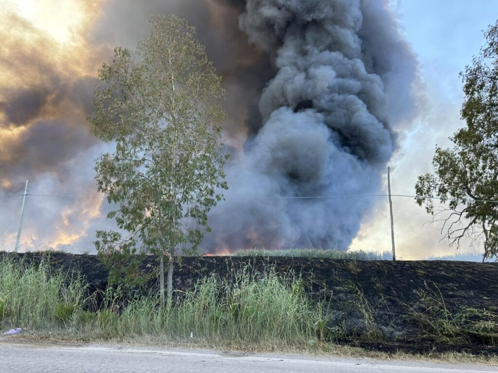incendio manfredonia