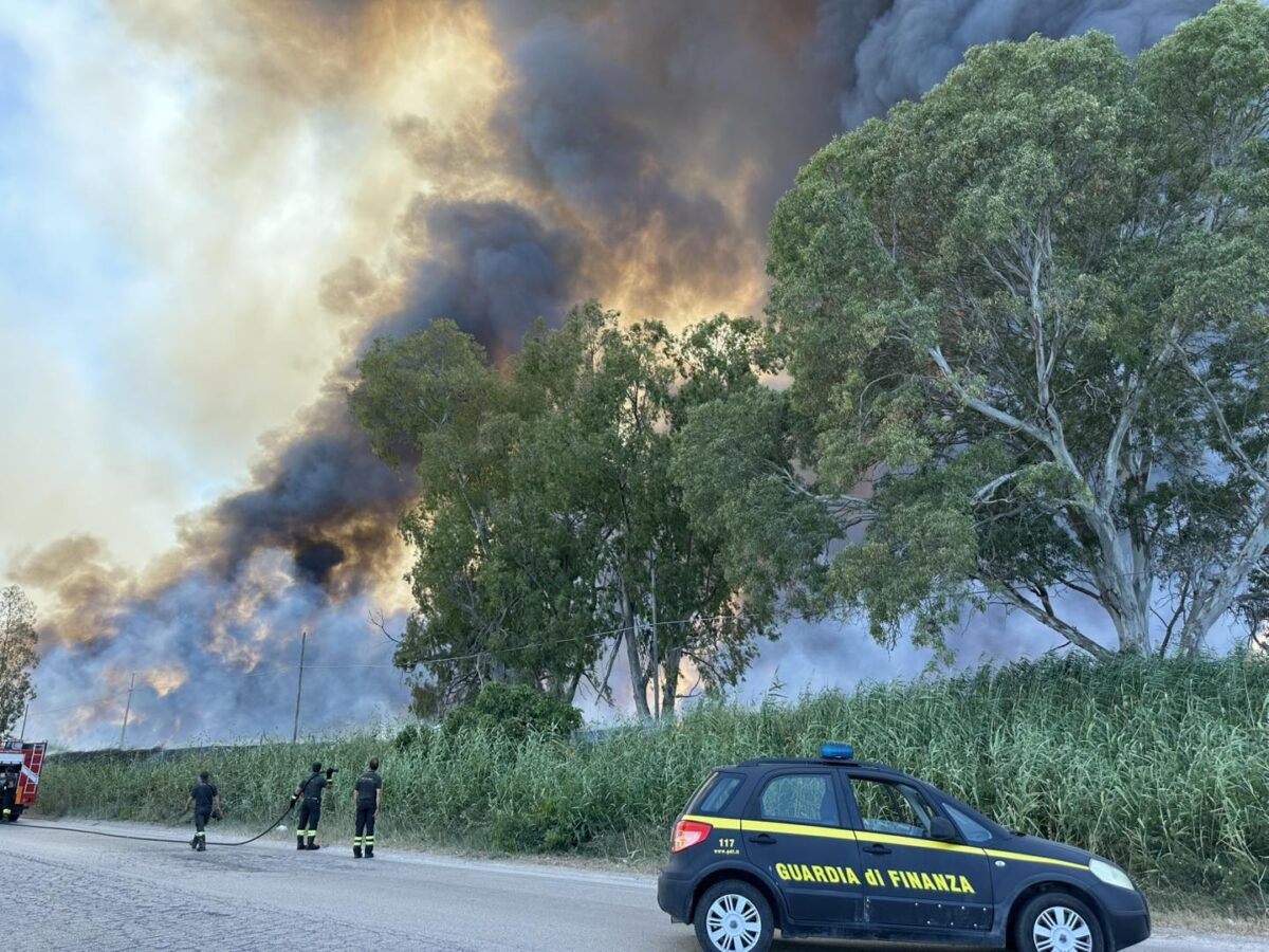 incendi-puglia-rogo-a-manfredonia-fiamme-nell-oasi-protetta-lago-salso