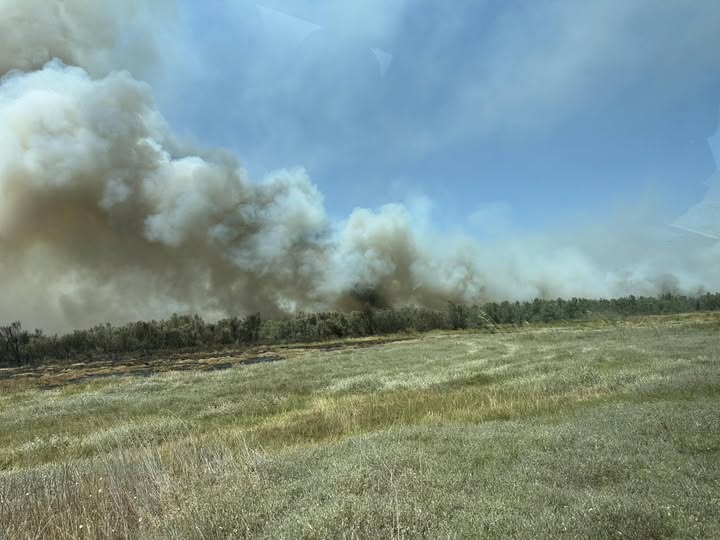 incendio manfredonia puglia