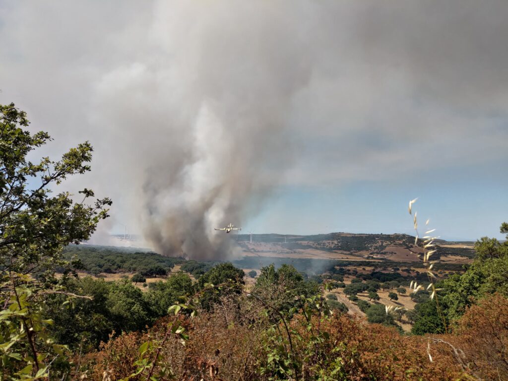 incendio nulvi sardegna