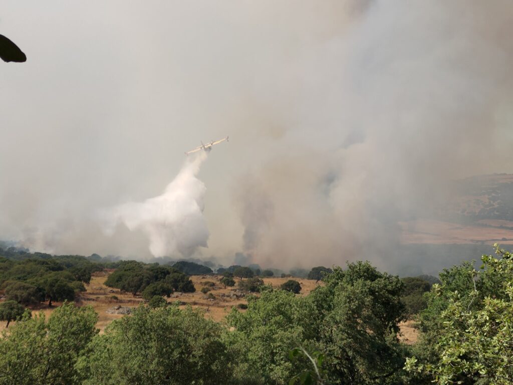 incendio nulvi sardegna