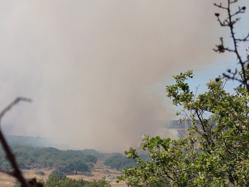 incendio nulvi sardegna
