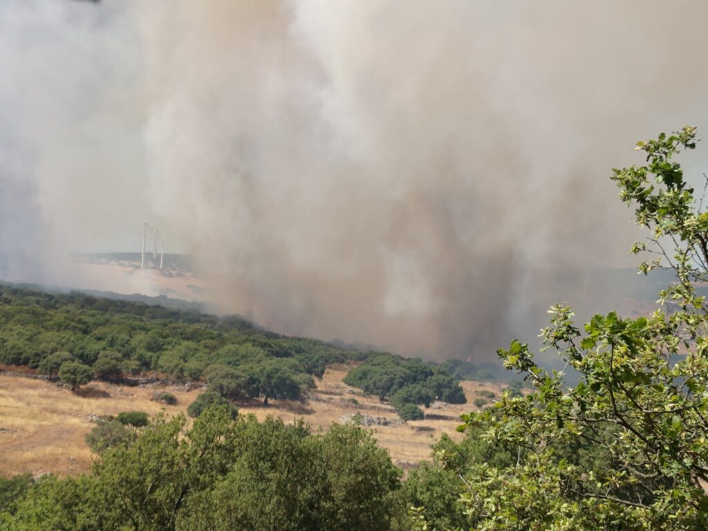 incendio nulvi sardegna