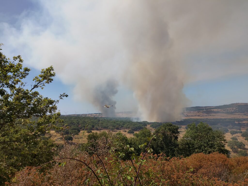 incendio nulvi sardegna