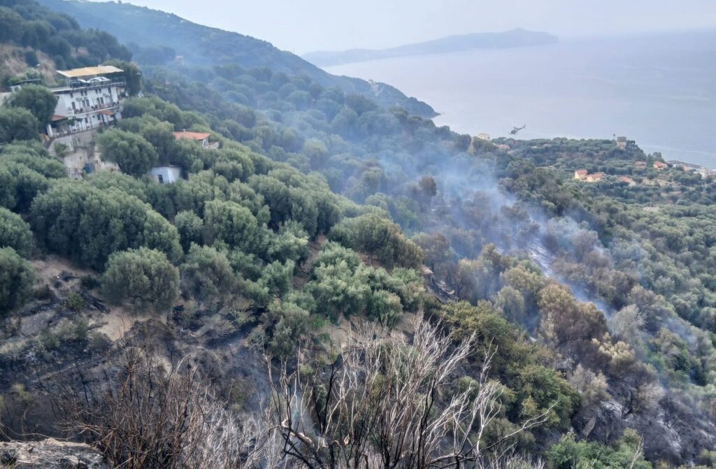 incendio pisciotta campania