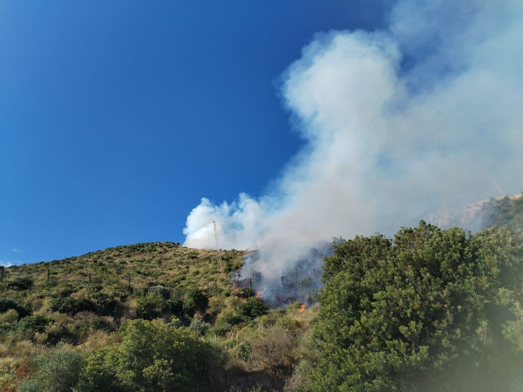 incendio pisciotta campania