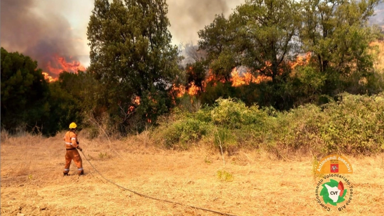 incendio scansano toscana