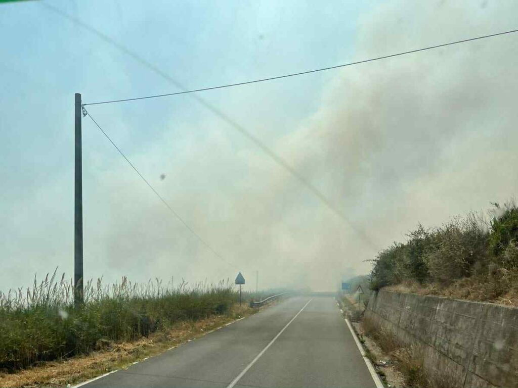 incendio statale 280 calabria