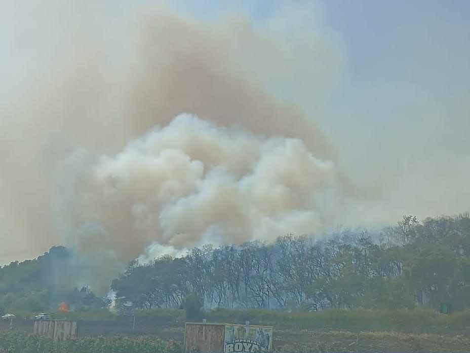 Calabria, incendio lungo la Statale 280: strada chiusa, elicottero in azione | FOTO