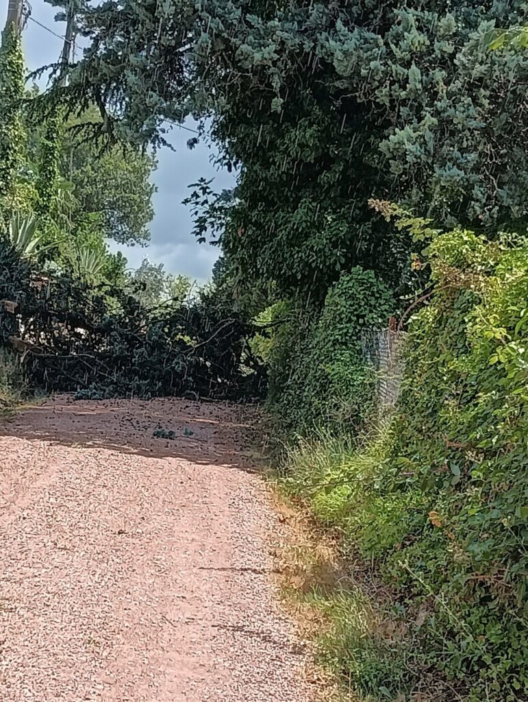maltempo Gualdo Cattaneo umbria