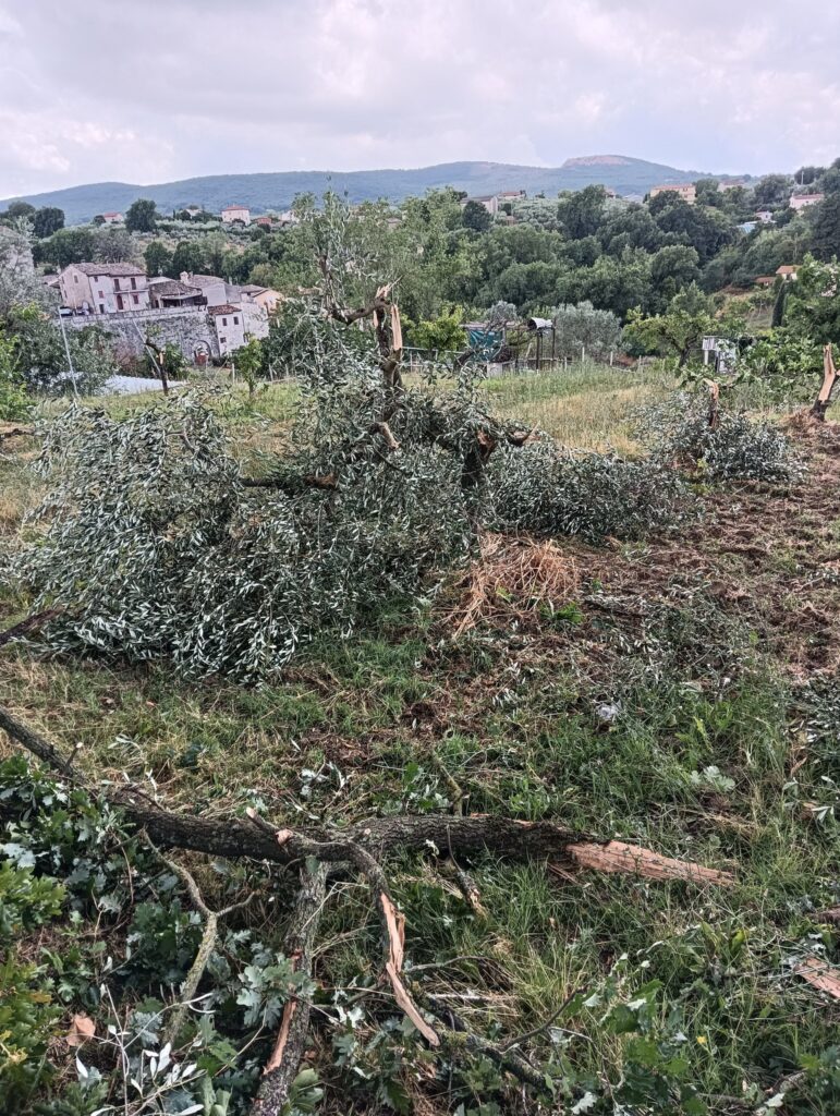 maltempo Gualdo Cattaneo umbria