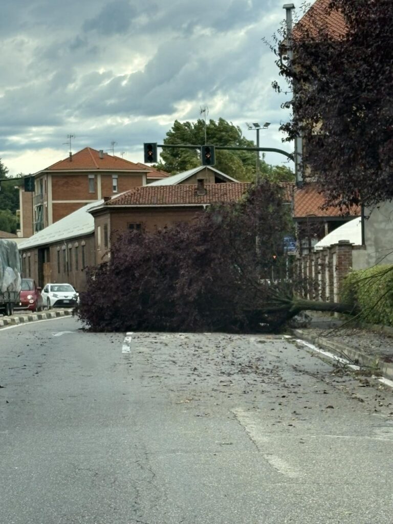 maltempo piemonte