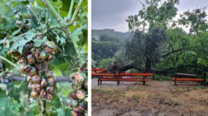 maltempo toscana