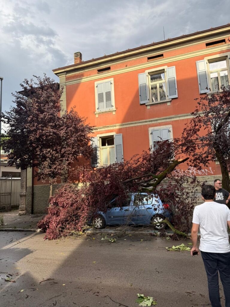maltempo trento