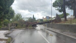 maltempo veneto