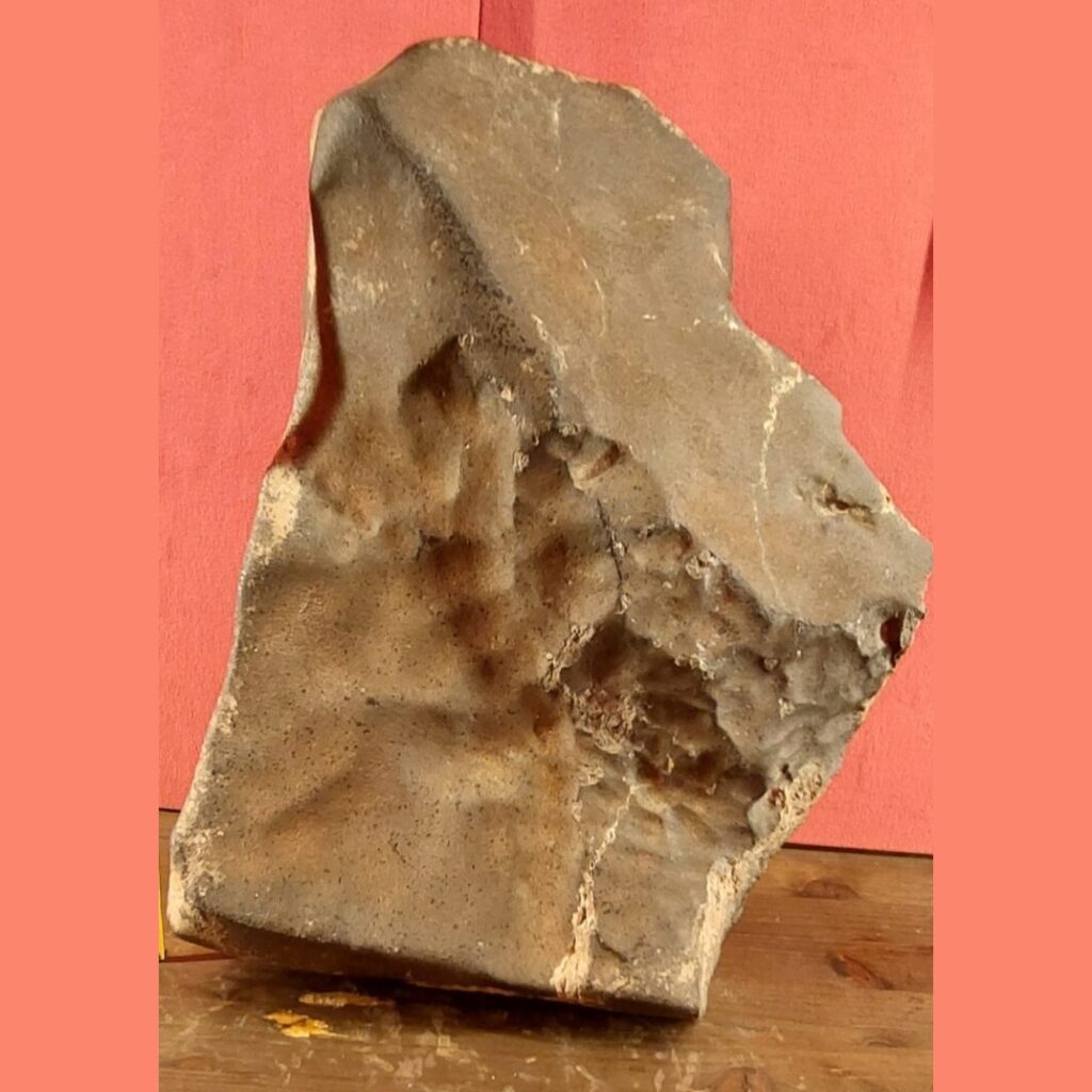 meteorite marte