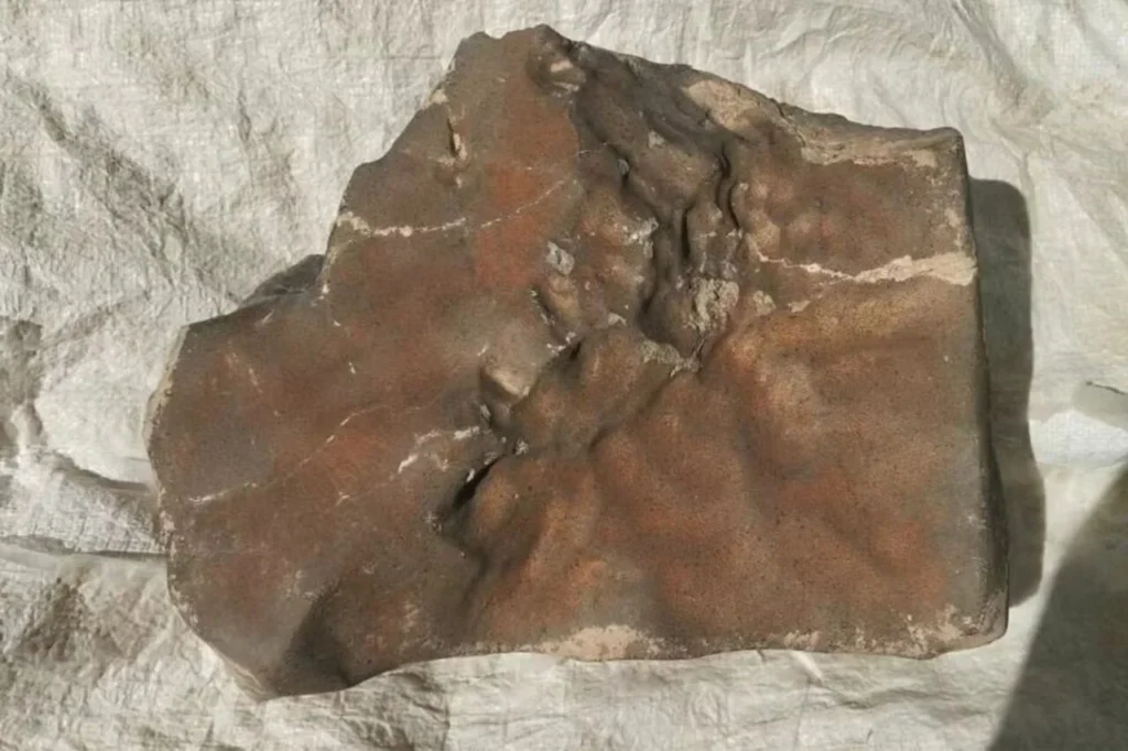 meteorite marziano NWA 16788