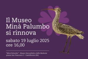 museo Francesco Minà Palumbo
