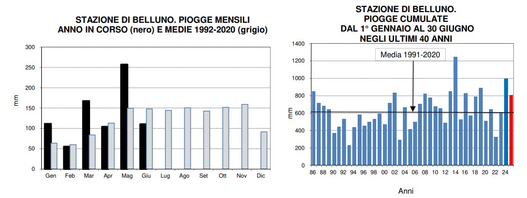 piogge gennaio-giugno 2025 belluno 2