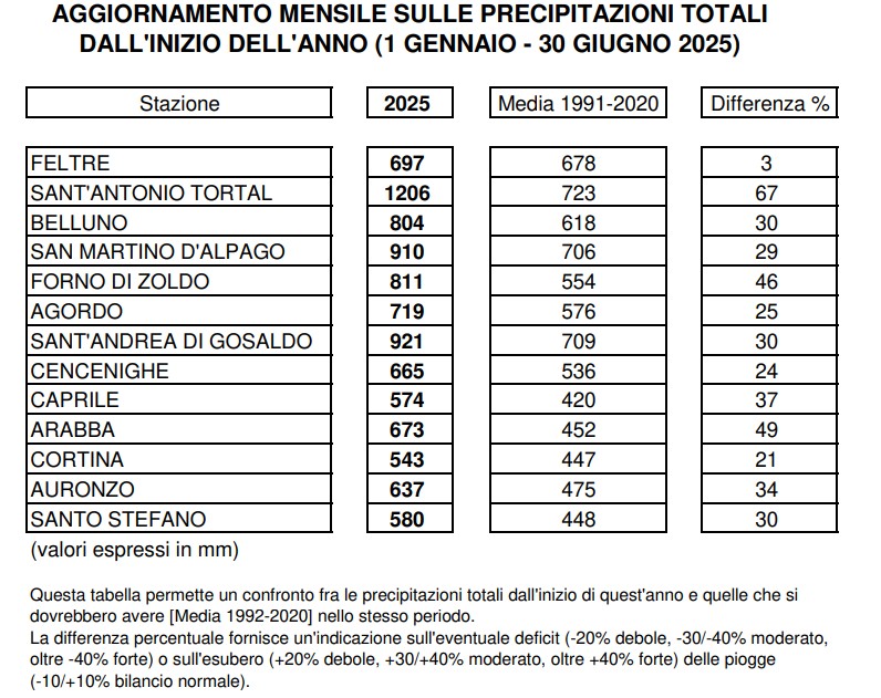 piogge gennaio-giugno 2025 belluno