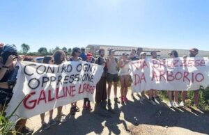 Allevamento galline Arborio