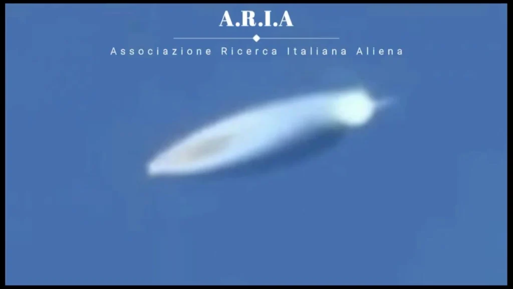 Avvistamenti provincia Imperia