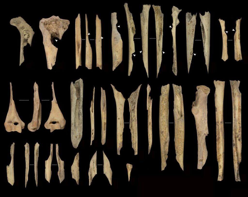 Cannibalismo preistorico