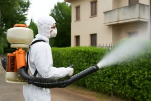Dengue