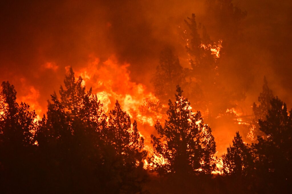 Flat Fire oregon