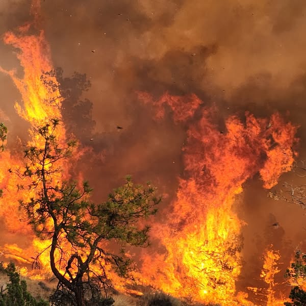 Flat Fire oregon