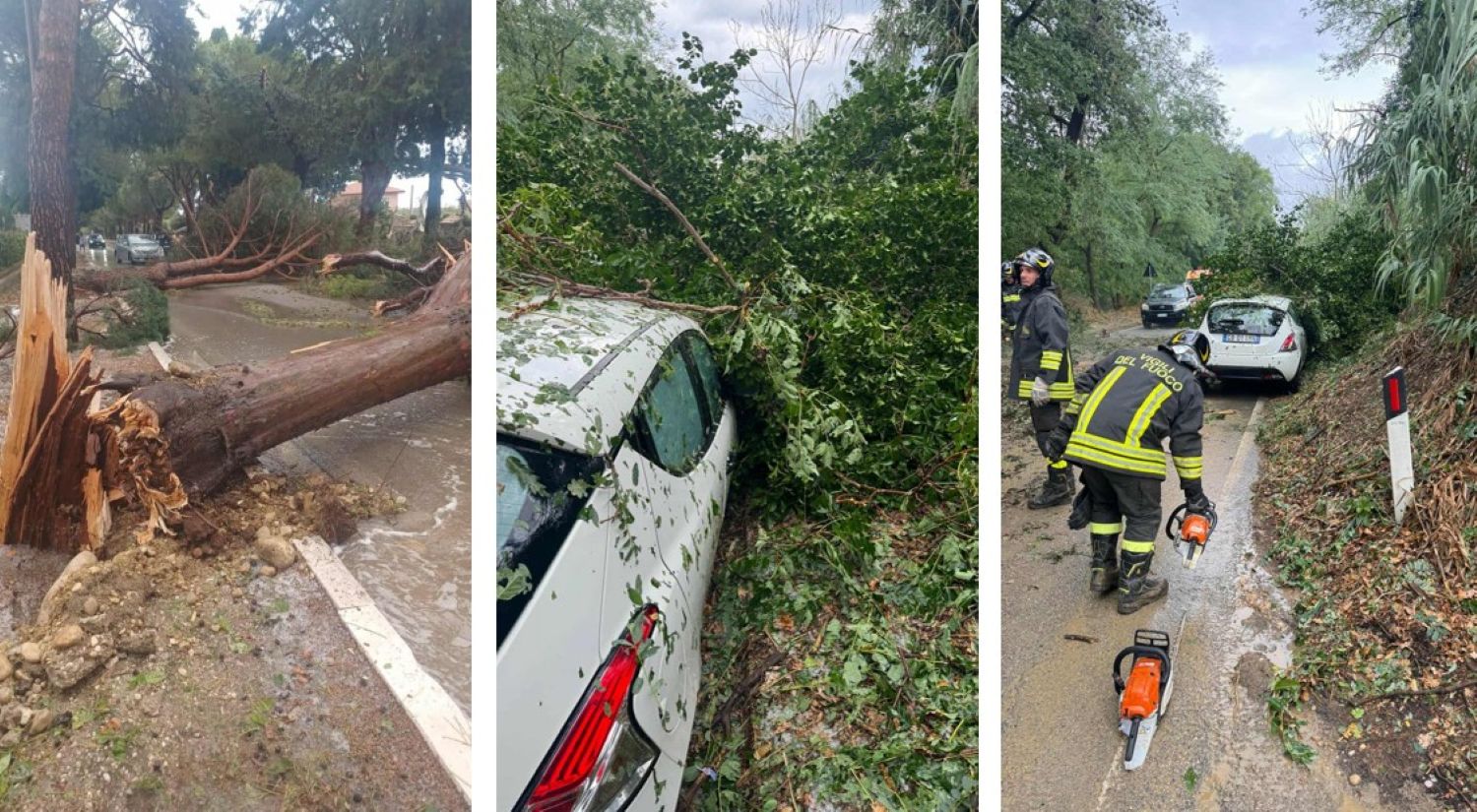 Maltempo Abruzzo, downburst devastante a Fossacesia: auto schiacciate e alberi abbattuti | FOTO e VIDEO