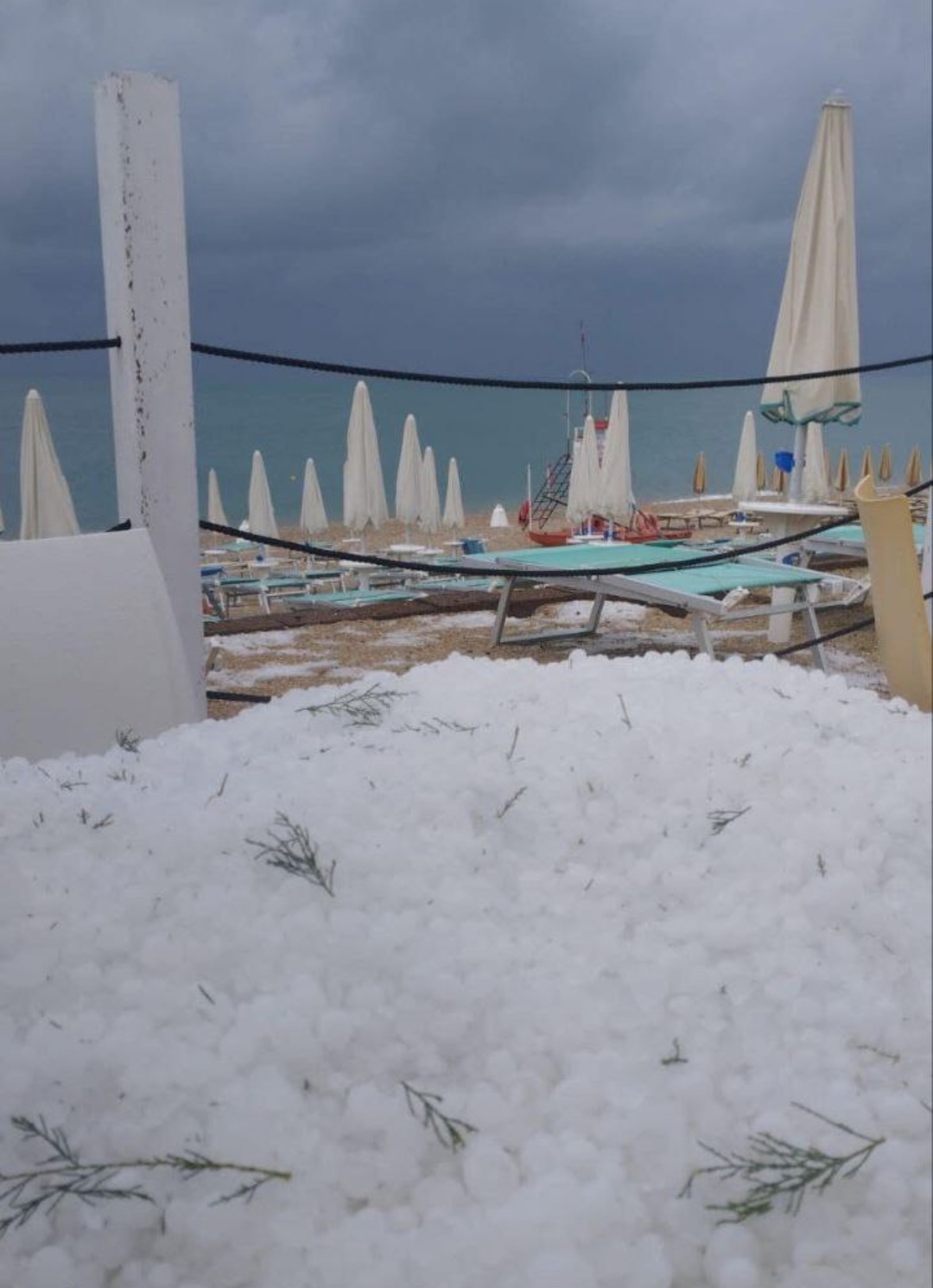 Grandine Ancona