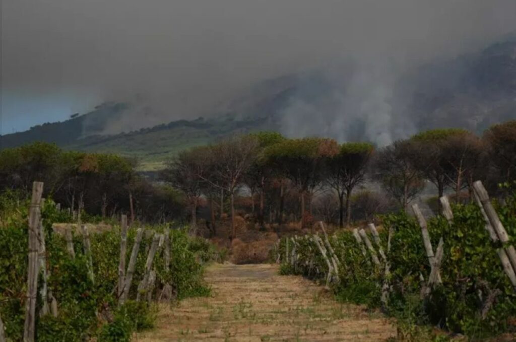 Incendi Vesuvio