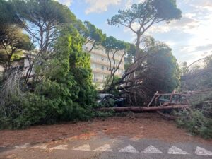 Maltempo vento Milano Marittima