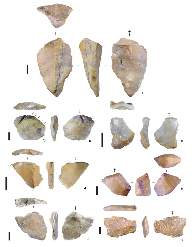 Ominidi Sulawesi