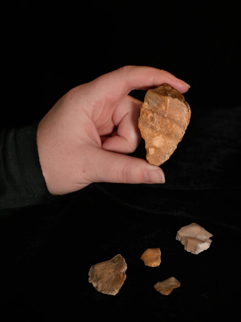 Ominidi Sulawesi